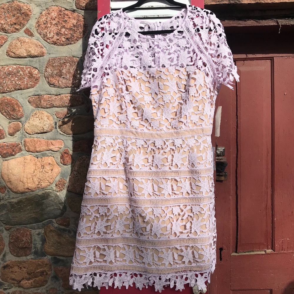 Eliza J. Pale Lavender Lace Dress Size 18